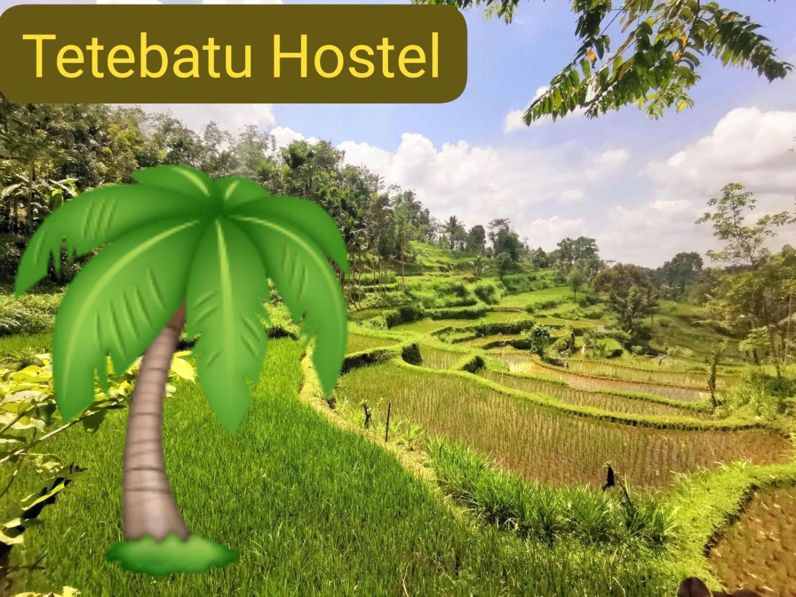Tetebatu Hostel Zewnętrze zdjęcie